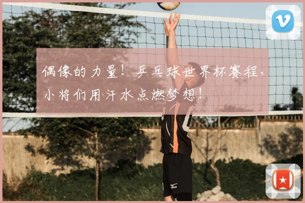 偶像的力量！乒乓球世界杯赛程，小将们用汗水点燃梦想！